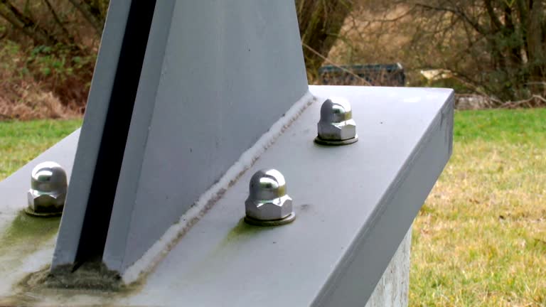Mold Documentation for Insurance Claims in Lake California, CA
